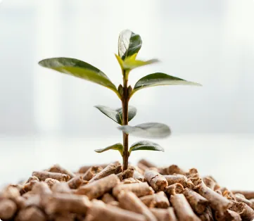 Fertilizers industry
